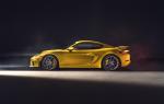 Porsche 718 Cayman GT4 2019 года (WW)